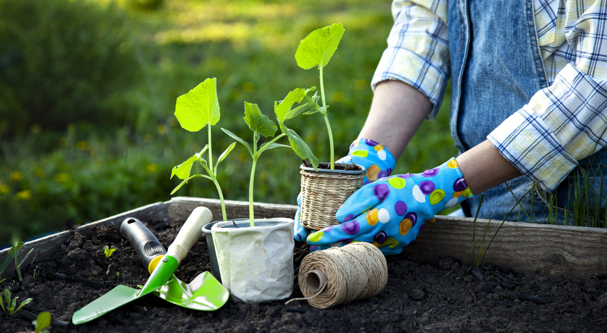 A kertészeti ágazat megszolgálja a támogatást | AGROKÉP